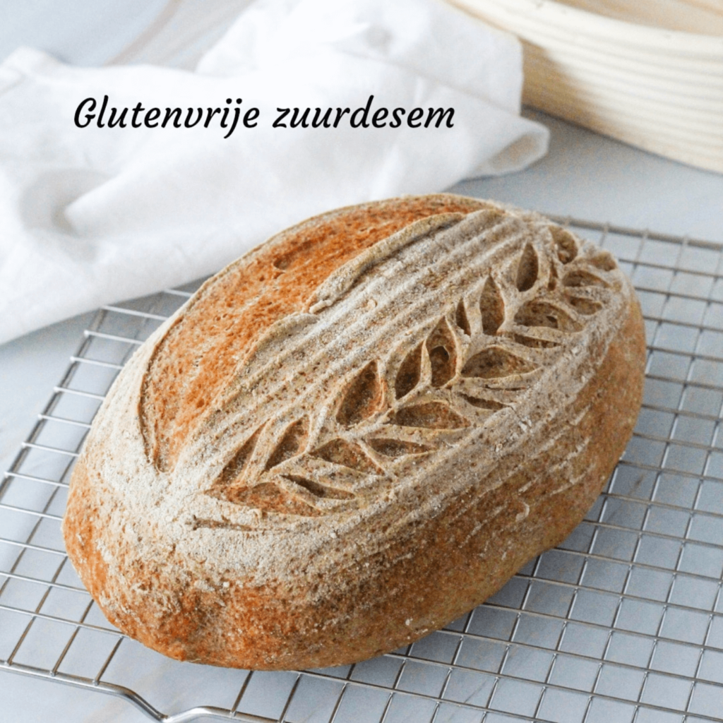 Glutenvrije zuurdesem starter